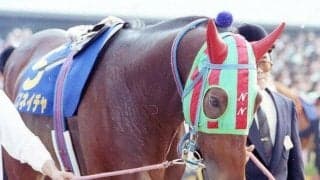 【有馬記念】ナイスネイチャも歩んだ道 マイルCSからのローテで馬券内に入った馬たち