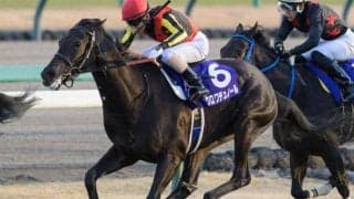 横綱相撲の完勝劇が1位 ホープフルS着差ランキングTOP3