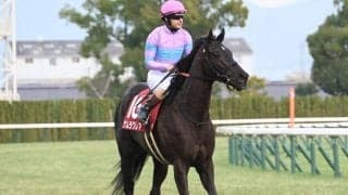 【阪神C想定騎手】ナムラクレアはC.ルメール騎手、ジューンブレアは武豊騎手