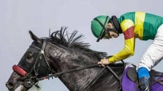 【中山大障害想定騎手】エコロデュエルは草野太郎騎手、ジューンベロシティは高田潤騎手