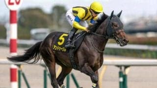 【ホープフルS想定騎手】アンドゥーリルは川田将雅騎手、ショウナンガルフは池添謙一騎手