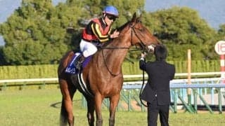 【有馬記念想定騎手】レガレイラはC.ルメール騎手、ミュージアムマイルはC.デムーロ騎手