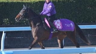 ファルカータなど、先週のゲート試験/栗東トレセンニュース