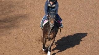 アーミルなど、先週の入厩情報/栗東トレセンニュース