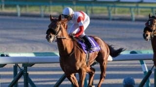 【有馬記念の過去10年データ】「前走GI」「前走5着以内」がキーワード