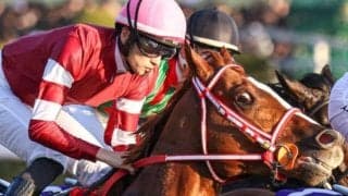 【有馬記念】外国産馬として18年ぶりの参戦 シンエンペラーがGI初制覇なるか