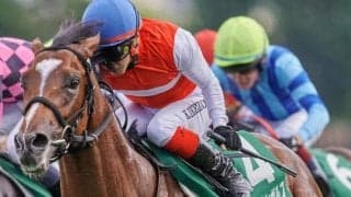 【ホープフルS】「ショウナン」の国本哲秀オーナー ショウナンガルフで10年ぶりのGI制覇なるか