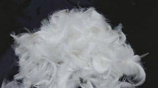 自分にフィットした “my まくら”は快眠へと誘う入眠アイテム