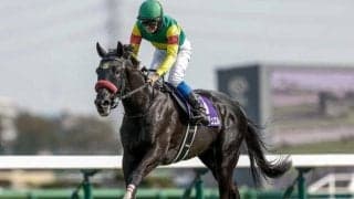 【中山大障害予想オッズ】エコロデュエルが予想1番人気