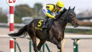 【ホープフルS予想オッズ】アンドゥーリルが予想1番人気