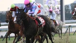 【阪神C予想オッズ】ナムラクレアが予想1番人気