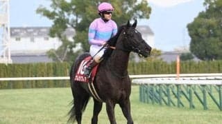 【阪神C展望】GI実績馬が中心も3歳馬と先行勢の一発に警戒