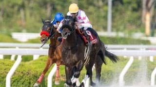 【兵庫ゴールドトロフィー】マテンロウコマンドは8枠11番