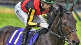 【有馬記念】馬名が「ミ」で始まる馬が勝ったら史上初 ミュージアムマイルとミステリーウェイが挑む