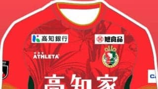 情熱のグロリオサあしらった新ユニホーム　百年構想リーグへ高知U