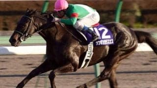 有馬記念着差ランキング 1位は“GI史上最大タイ”の圧勝劇