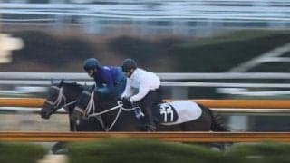 アウトレンジ、東京大賞典最終追い切り速報/栗東トレセンニュース