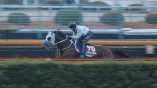 メイショウタバル、有馬記念最終追い切り速報/栗東トレセンニュース