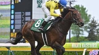 【中山金杯想定】シリウスコルト、カネラフィーナなど14頭