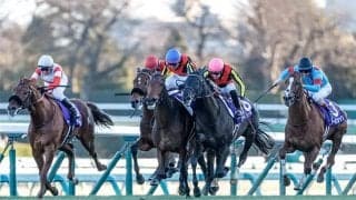 【有馬記念の過去10年データ】荒れるとも荒れないとも言い難い… 上位人気＋中穴馬の組み合わせがおすすめ