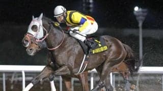 【名古屋・名古屋大賞典結果】アピーリングルックが重賞初挑戦で初制覇