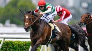 【有馬記念予想】AIは人気を落としそうな実績馬を指名 好枠に入れば侮れず