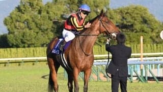 【有馬記念展望】驚異の成績を誇る前走1番人気馬に注目