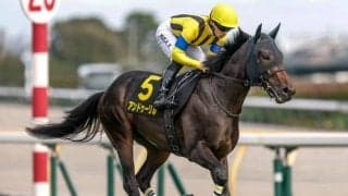 【ホープフルS枠順確定】アンドゥーリルは6枠12番、ショウナンガルフは7枠13番