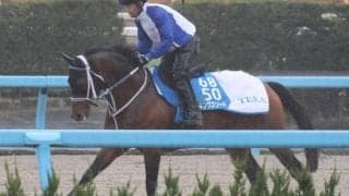 キングズソード、東京大賞典最終追い切り速報/栗東トレセンニュース