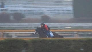 ウエストナウ、中山金杯1週前追い切り速報/栗東トレセンニュース