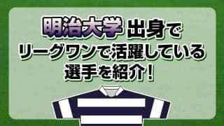明治大学出身で、リーグワンで活躍している選手を紹介！