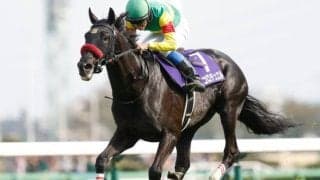 【中山大障害出走馬・騎手確定】エコロデュエル＆草野太郎騎手、ネビーイーム＆小牧加矢太騎手など10頭