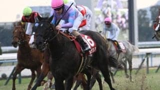【阪神C出走馬・騎手確定】ナムラクレア＆C.ルメール騎手、ジューンブレア＆武豊騎手など16頭