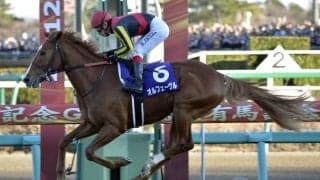 JRAから粋な“クリスマスプレゼント”　感動のラストランに大接戦、圧勝劇…公式Xが有馬記念名シーンのまとめ動画を公開