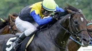 【グレイトフルS】母は名牝アパパネ アマキヒがオープン入りなるか