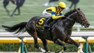 【ホープフルS・調教後馬体重】アンドゥーリルは462kg、ショウナンガルフは492kg