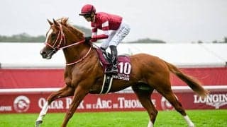 【有馬記念】最内「1枠」にはエキサイトバイオとシンエンペラー 枠順抽選会2025