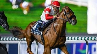 【有馬記念】過去10年で勝利＆複勝率トップ「5枠」に入ったのはダノンデサイル＆コスモキュランダ 枠順抽選会2025