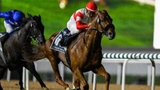 【有馬記念・調教後馬体重】ダノンデサイルは520kg、レガレイラは484kg