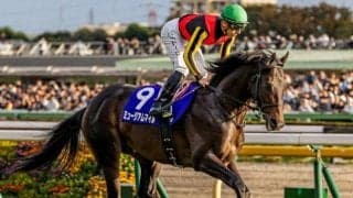 巳年の有馬記念に2つのキーワード 「初制覇」と「4番枠」が攻略の糸口に？