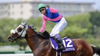 【武豊日記】大目標がいよいよ今週です