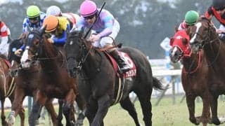 【阪神C枠順確定】ナムラクレアは6枠12番、ジューンブレアは5枠9番