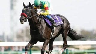 【中山大障害枠順確定】エコロデュエルは4枠4番、ネビーイームは1枠1番