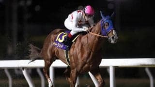 【大井・東京大賞典枠順】JpnI連勝中のミッキーファイトは7枠13番