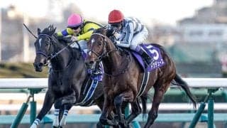 【有馬記念の過去10年データ】「内枠有利 外枠不利」が決まり文句 軸は内枠から中間枠で