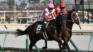 【阪神C予想】前走4角の位置取りと阪神芝1400mの実績が鍵！ 近況いまひとつで消去法にも当てはまる人気馬とは