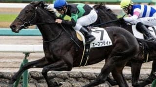 兄は京都大賞典覇者のディープモンスター コントレイル産駒のエースフライトが初勝利狙う