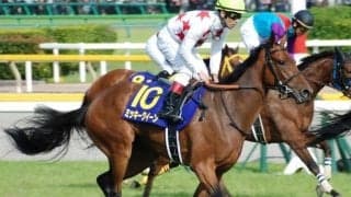 母はGI・2勝のミッキークイーン エピファネイア産駒のミッキーファルコンが新馬勝ち目指す