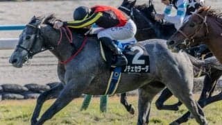 中山芝は徐々にタフな状況に ホープフルSでノチェセラーダが波乱を呼ぶか