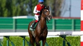 【ホープフルS予想】馬体調整の難しい時期は前走の間隔に注意！ 近2走のパフォーマンスを鵜呑みにできない軽視したい人気馬とは